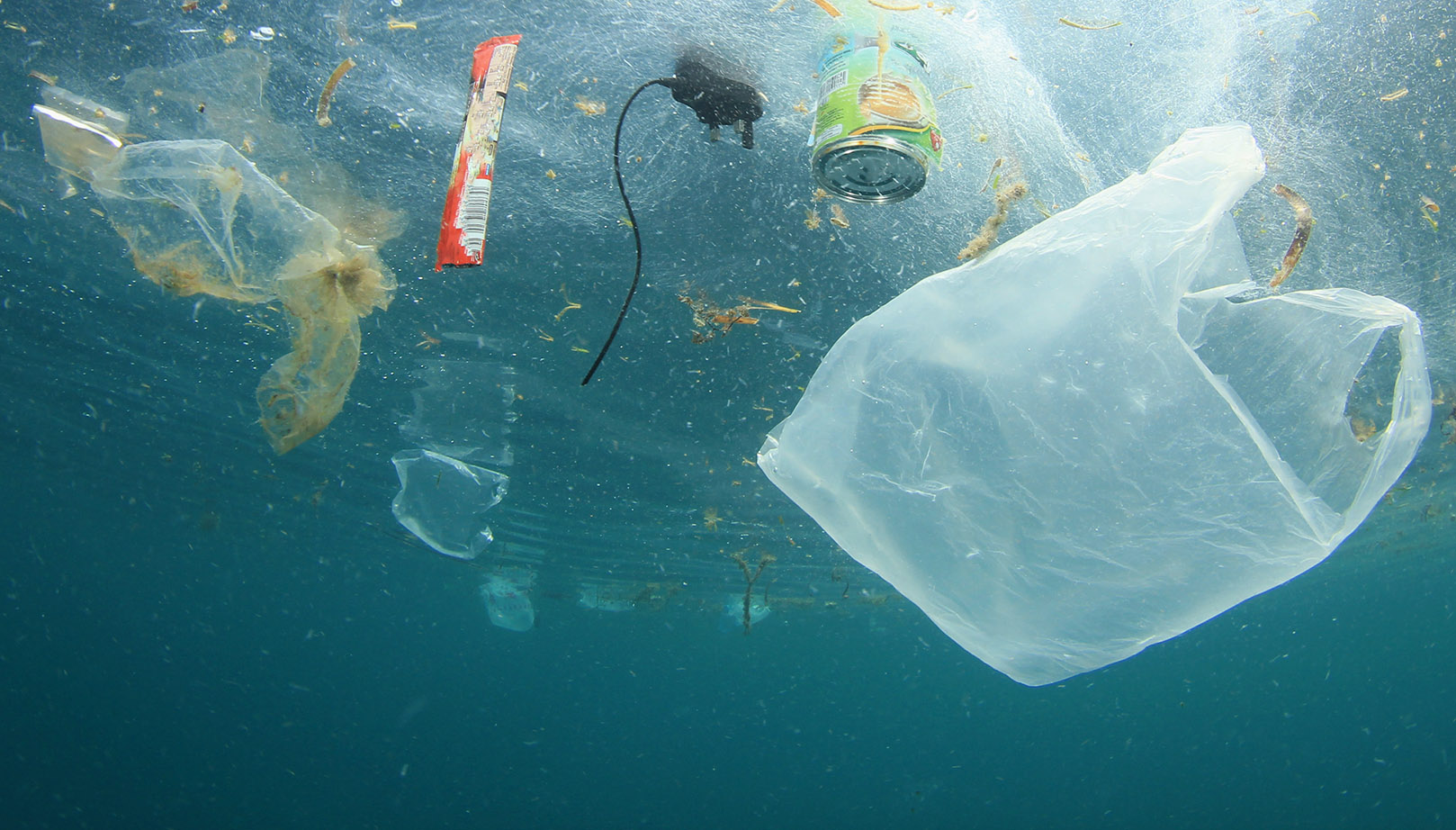 Image result for plastic in the ocean