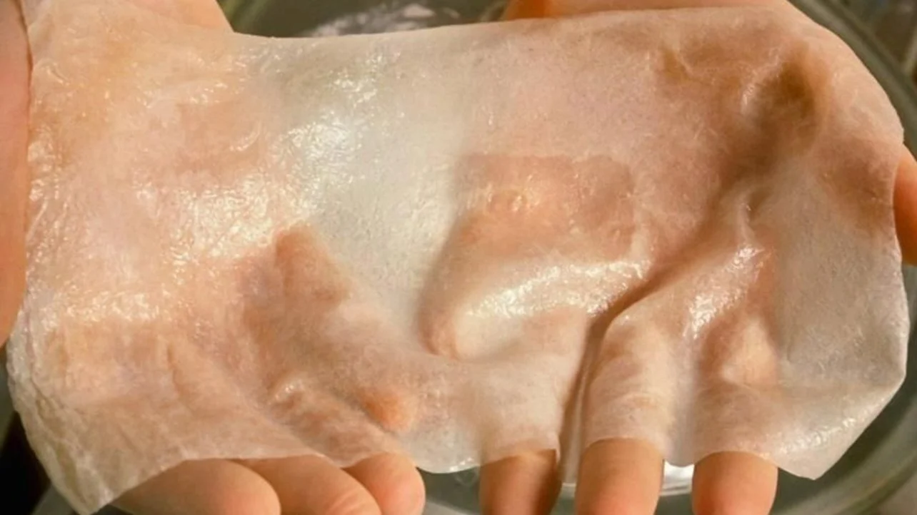 You are currently viewing 3D Printed Skin Could Become the Future Medical Standard